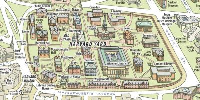 Peta dari Harvard university